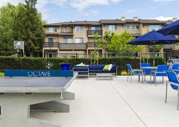 Outdoor ping pong table
